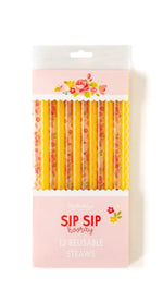 BRIGHT GINGHAM FLORAL REUSABLE STRAWS