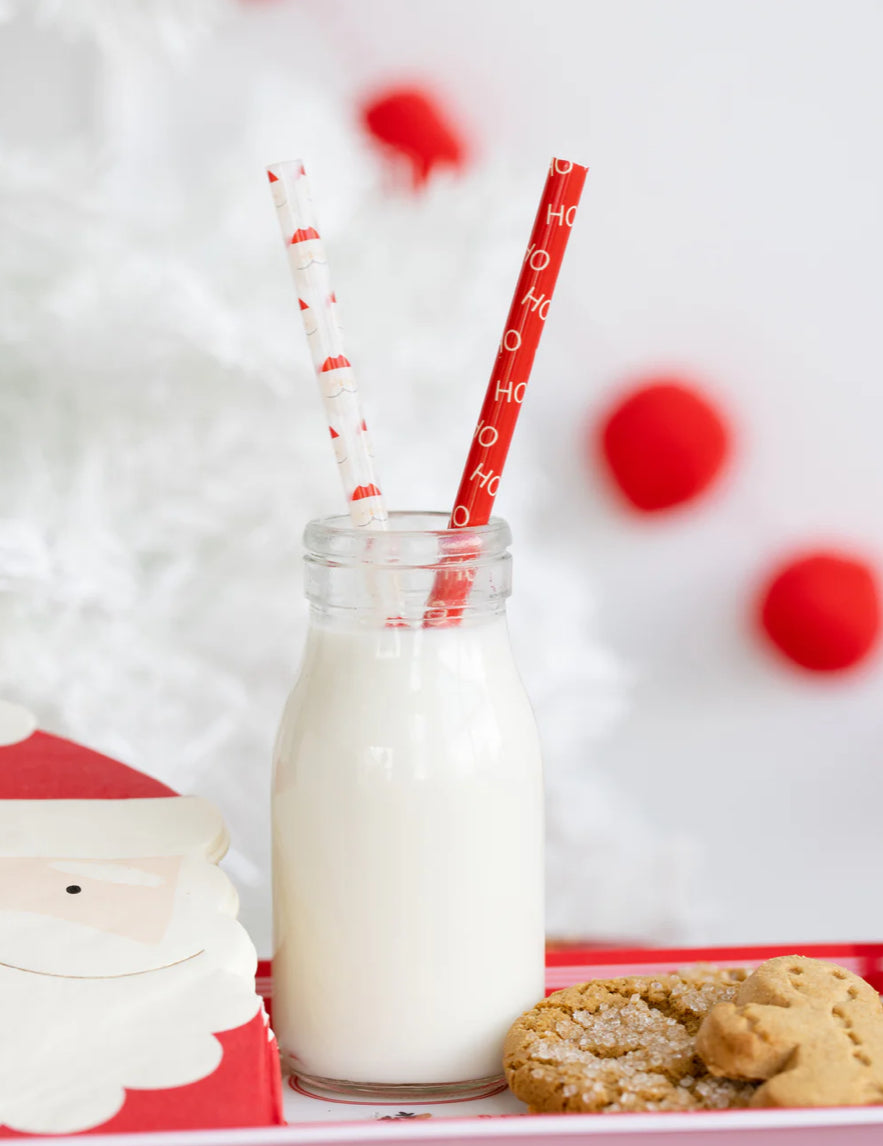 BELIEVE SANTA REUSABLE STRAW SET