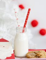 BELIEVE SANTA REUSABLE STRAW SET