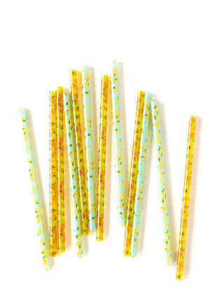 FRUIT BASKET REUSABLE STRAWS
