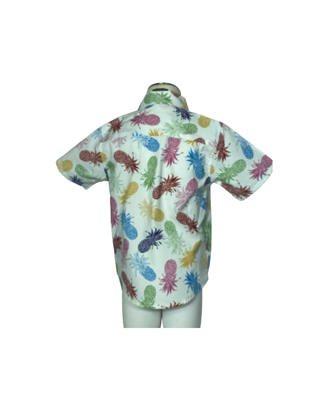 Coradorables BOYS RAINBOW PINEAPPLES S/S "Kalani" Aloha Shirt